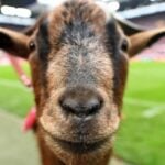 สูตรเด็ด ค่า สิ โน ฝากถอน เร็ว เล่นเกมมันส์ที่ PG Soft